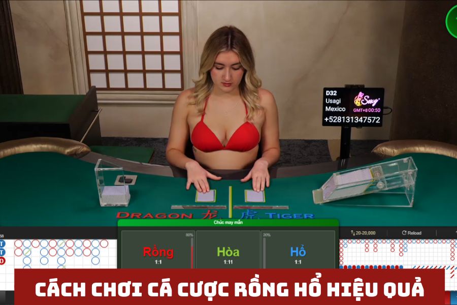 ap dung cach choi rong ho co nguyen tac